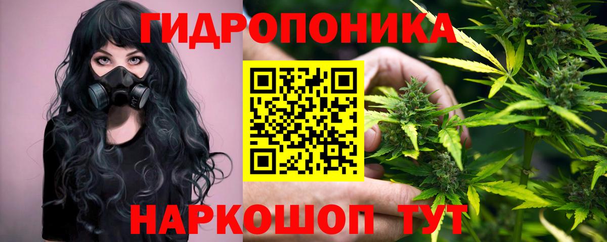 Конопля план  МАРИХУАНА THC 21%  Марихуана Ganja  Вход с VPN  Мценск 
